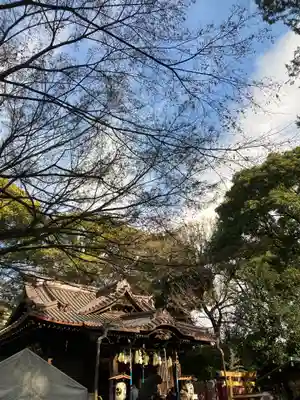代々木八幡宮(東京都)