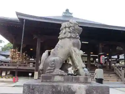 智恩寺(京都府)