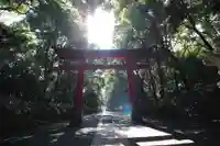 大宮八幡宮の鳥居
