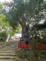 新田神社(鹿児島県)