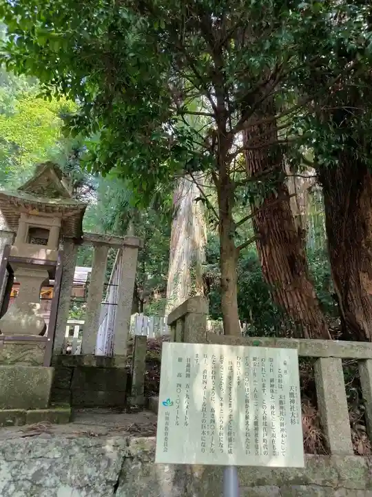 天鷹神社(岐阜県)