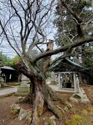 神炊館神社 ⁂奥州須賀川総鎮守⁂のその他建物