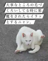 専念寺(大阪府)