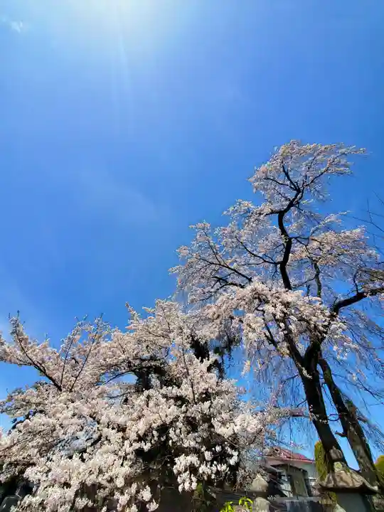 妙徳寺(福島県)