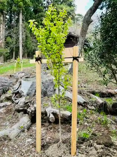 土津神社｜こどもと出世の神さまの鳥居