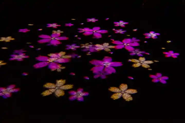 新城藤原神社(長野県)