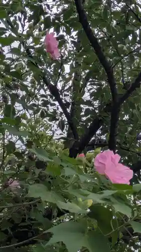 建仁寺（建仁禅寺）(京都府)