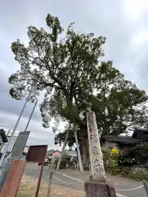 隠家の森のその他建物