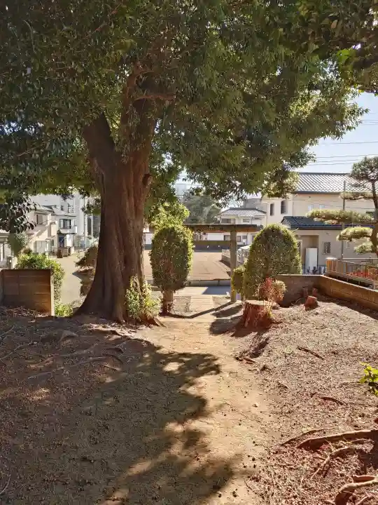 丸山稲荷神社の{uncategorized: "未分類", other: "その他", undefined: "問題あり", building: "その他建物", grave: "お墓", sacred_gate: "鳥居", guardian: "狛犬", statue: "像", buddha: "仏像", history: "歴史", nature: "自然", garden: "庭園", animal: "動物", pagoda: "塔", temizu: "手水舎", mountain_gate: "山門・神門", sanctuary: "本殿・本堂", subordinate: "末社・摂社", art: "芸術", scenery: "景色", jizo: "地蔵", ema: "絵馬", goshuin: "御朱印", omikuji: "おみくじ", items: "授与品その他", amulet: "お守り", goshuincho: "御朱印帳", eats: "食事", festival: "お祭り", votive_dance: "神楽", shichigosan: "七五三参", wedding: "結婚式", experience: "体験その他", initially: "初詣", around: "周辺", anti_infection: "感染症対策"}