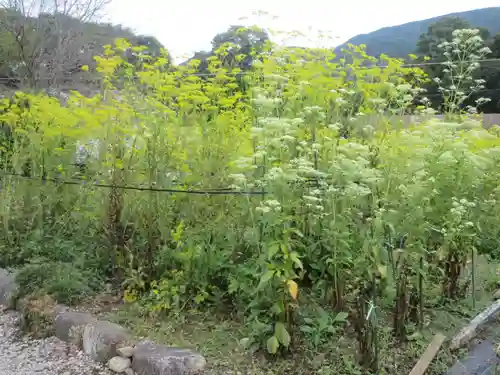 真性寺(埼玉県)