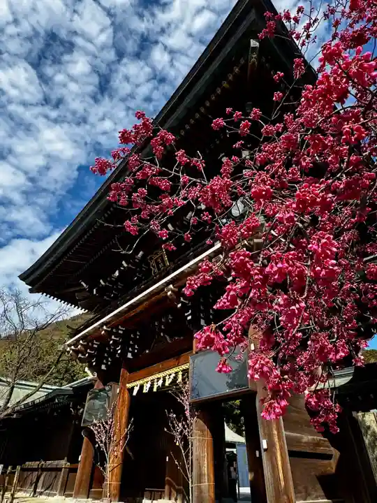 宮地嶽神社(福岡県)