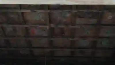 室山熊野神社の芸術