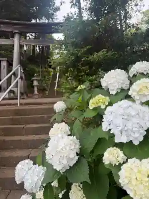西八朔杉山神社(神奈川県)