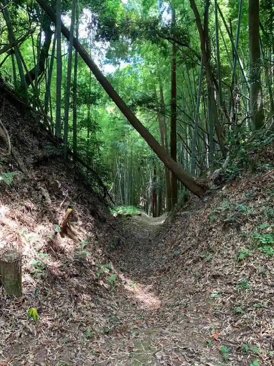 稲荷神社の周辺