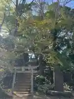 金毘羅社(東京都)