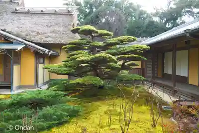 慈光院(奈良県)