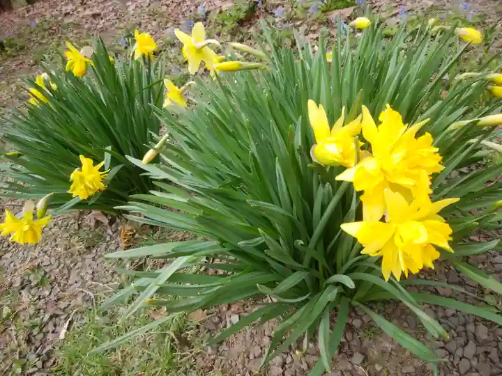錦山天満宮の自然