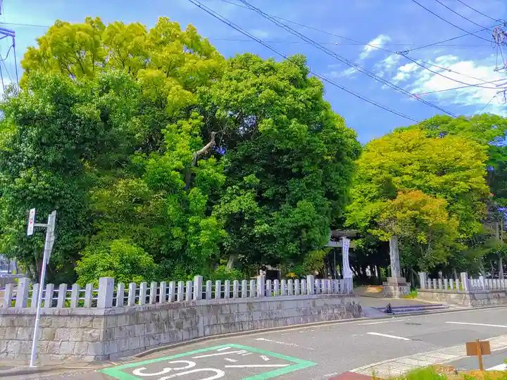 八幡神社(井田)の自然