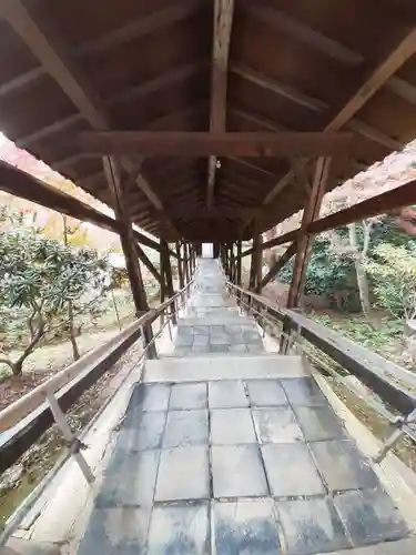 高台寺（高台寿聖禅寺・高臺寺）(京都府)