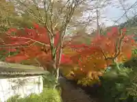 金剛院(京都府)