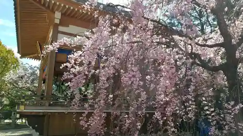 市原稲荷神社の自然