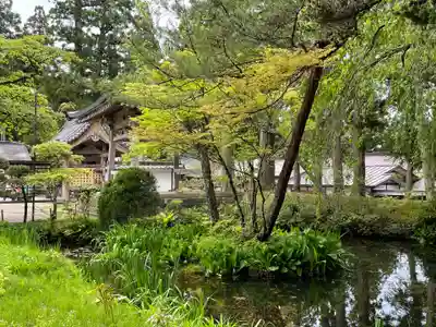 中尊寺(岩手県)