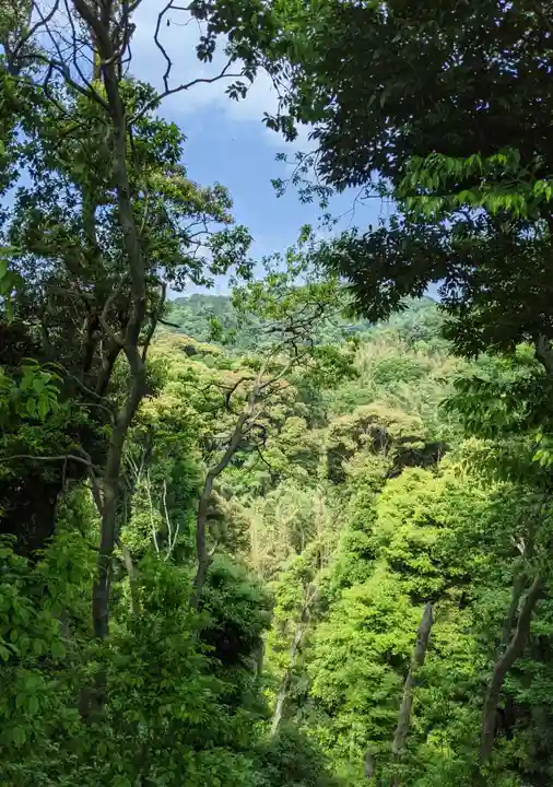 獅子窟寺の自然