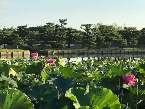 牟禮山観音禅寺の自然