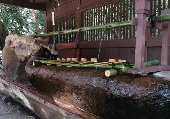 賀茂御祖神社(下鴨神社)の手水舎