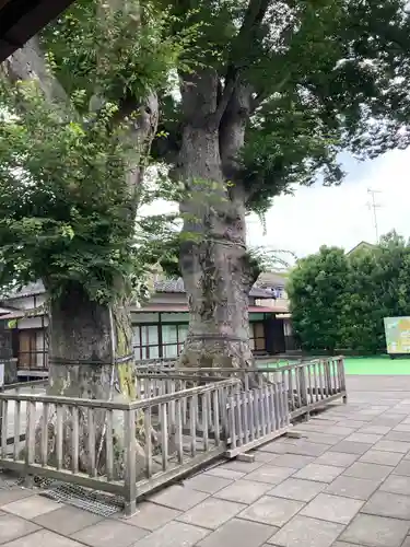 熊野宮(東京都)