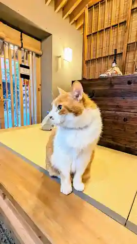 五十稲荷神社(栄寿稲荷神社)の動物