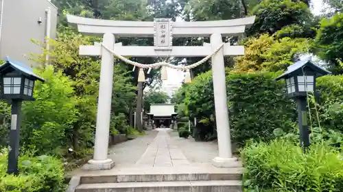 星川杉山神社(神奈川県)