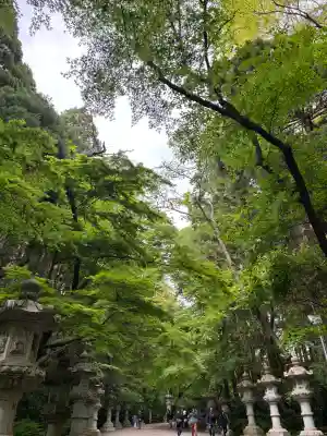香取神宮の{uncategorized: "未分類", other: "その他", undefined: "問題あり", building: "その他建物", grave: "お墓", sacred_gate: "鳥居", guardian: "狛犬", statue: "像", buddha: "仏像", history: "歴史", nature: "自然", garden: "庭園", animal: "動物", pagoda: "塔", temizu: "手水舎", mountain_gate: "山門・神門", sanctuary: "本殿・本堂", subordinate: "末社・摂社", art: "芸術", scenery: "景色", jizo: "地蔵", ema: "絵馬", goshuin: "御朱印", omikuji: "おみくじ", items: "授与品その他", amulet: "お守り", goshuincho: "御朱印帳", eats: "食事", festival: "お祭り", votive_dance: "神楽", shichigosan: "七五三参", wedding: "結婚式", experience: "体験その他", initially: "初詣", around: "周辺", anti_infection: "感染症対策"}