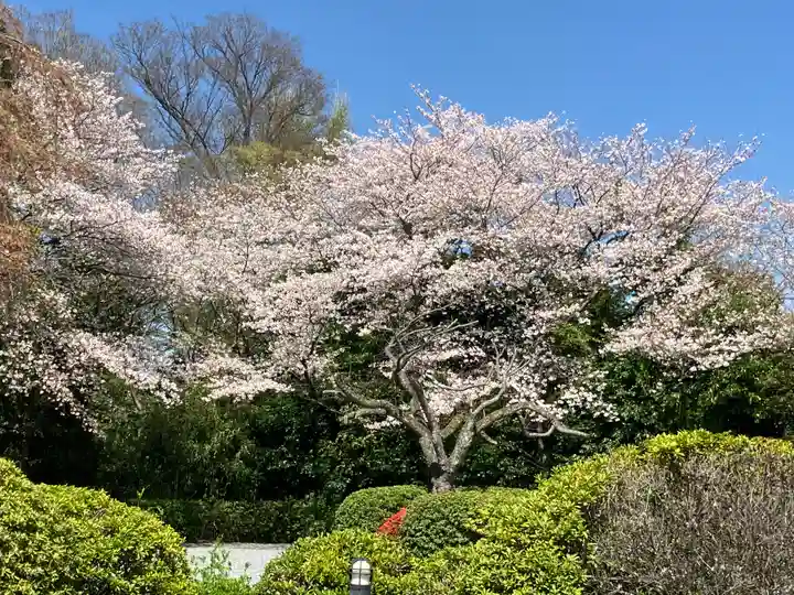 櫻木神社(千葉県)