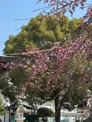 観音神社(広島県)