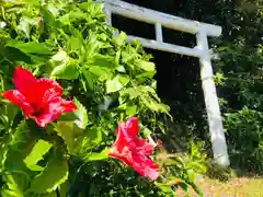 鳥羽神社の自然