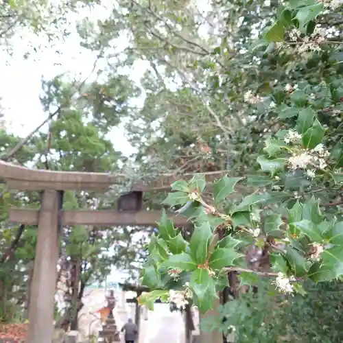 豊山八幡神社の鳥居