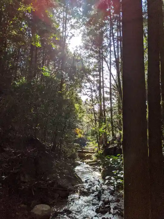 猿投神社 西の宮の自然