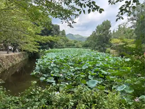 御髪神社の周辺