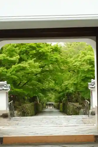 興聖寺（興聖寶林禅寺）(京都府)