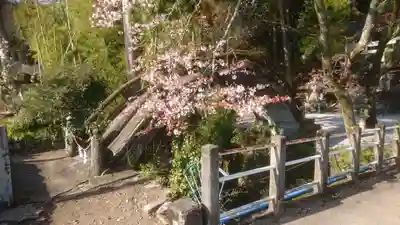佐羅早松神社のその他建物