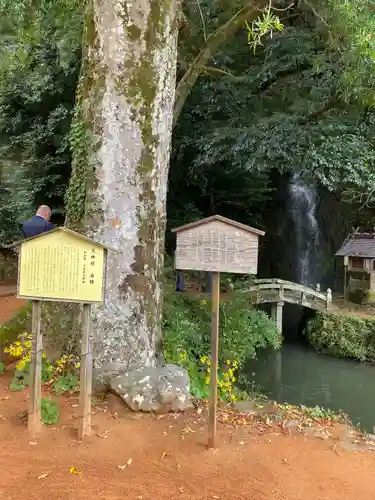 出雲大社北島国造館 出雲教(島根県)