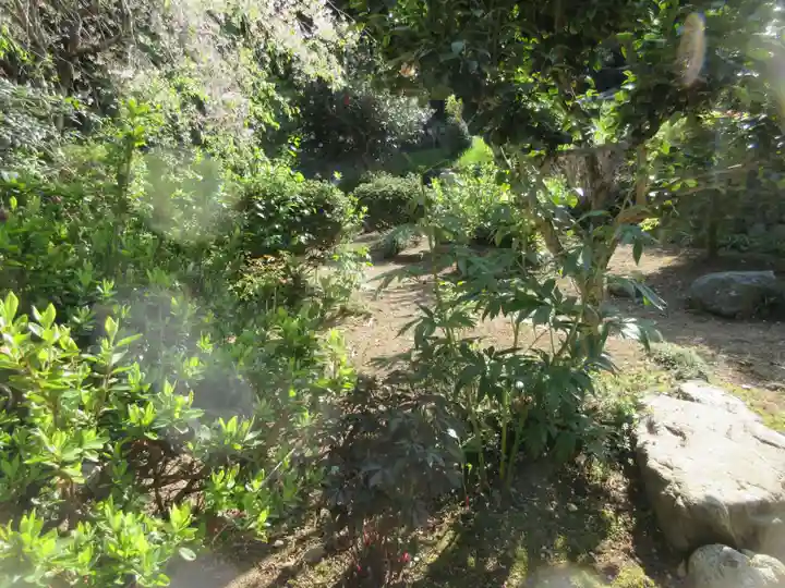 正法寺(埼玉県)