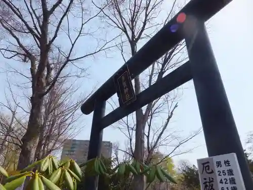 札幌護國神社の鳥居