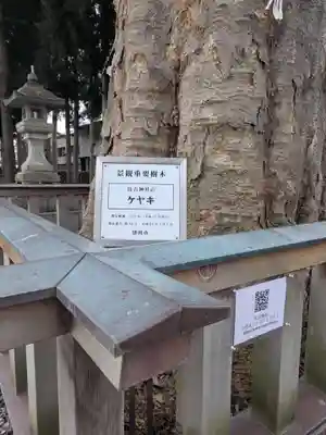住吉神社(岩手県)