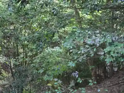 醍醐寺（上醍醐）(京都府)