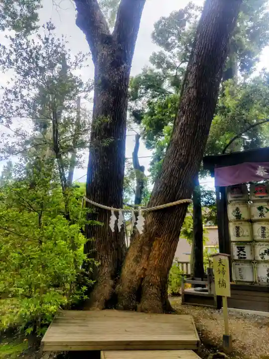 武蔵一宮氷川神社(埼玉県)