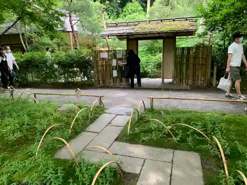 明月院(神奈川県)