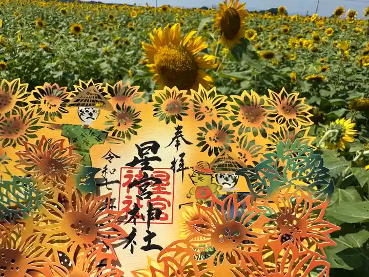 下野 星宮神社(栃木県)