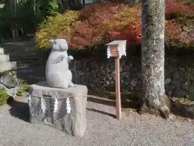 出雲大神宮(京都府)
